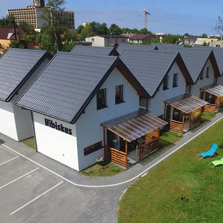 Hibiskus - Letniskowe