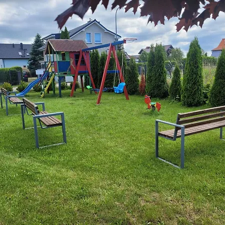 Hibiskus - Letniskowe