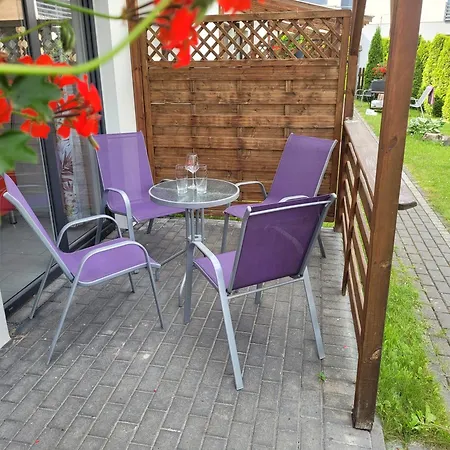 Hibiskus - Letniskowe