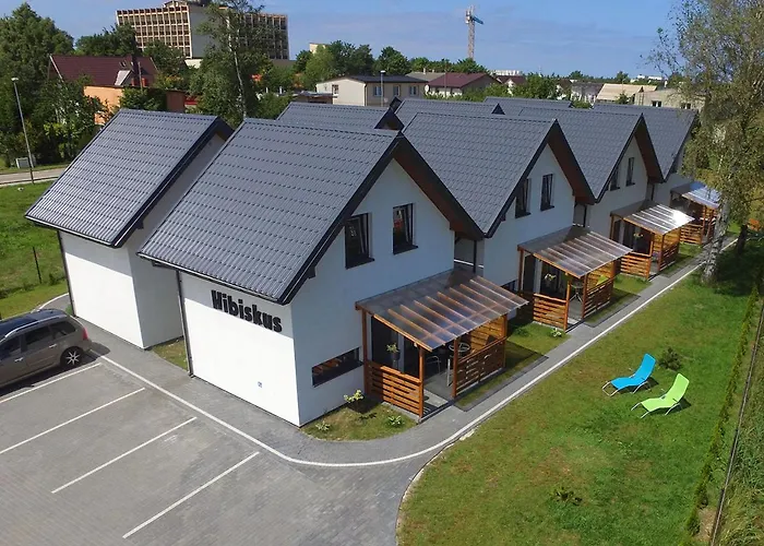 Hibiskus - Letniskowe