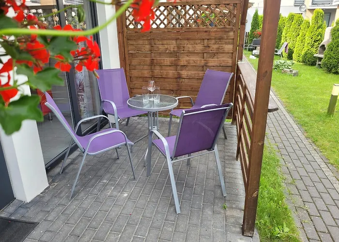 Hibiskus - Letniskowe